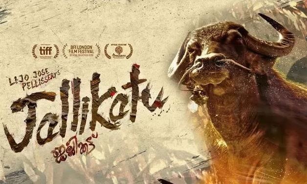 Malayalam film Jallikattu becomes India’s official Oscar entry