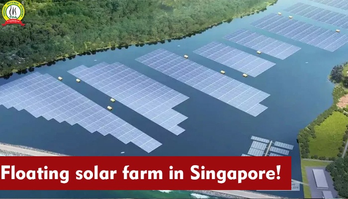 Floating Solar Farm in Singapore!