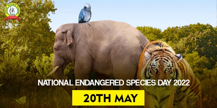 National Endangered Species Day (May 20th, 2022)